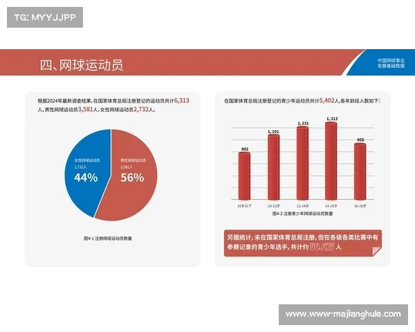 网球运动发展历程与技术演变探讨：从基础技巧到现代竞技水平的全面分析